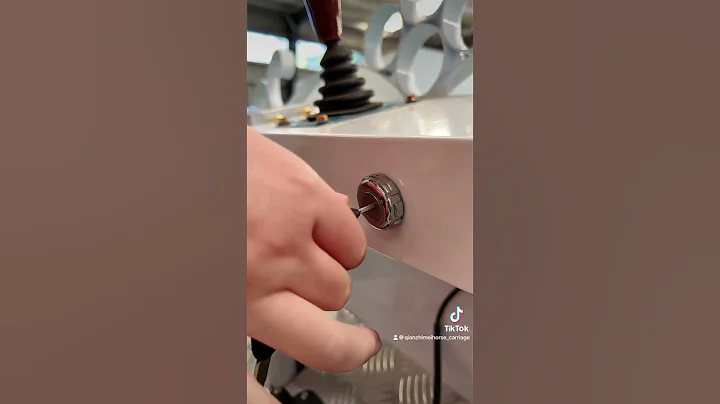 Christian Electric Funeral Horse Carriage Ready for Shipment #carriage #funeral