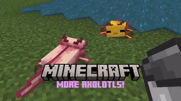 More Axolotls in Minecraft? (MOD)