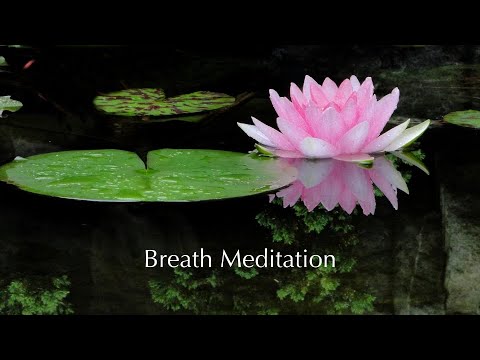 How to Meditate  Where to start for Meditation Practice