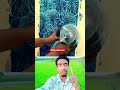 পলিথিন দিয়ে অসাধারণ ডিজাইন 🤯 #viral #shorts #shortvideo #Amazing #trending #fyp #painting #design