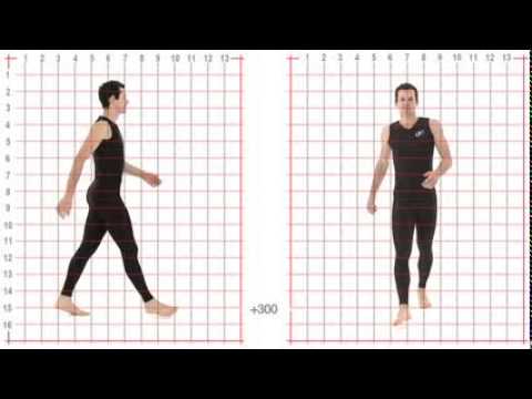 Animation Reference   Athletic Male Standard Walk