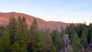 4K..Midweek Stress Relief 🌿 Relaxing Nature Video with Soft Music (Forest & Sky)