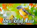 Classical Music For Relaxation 🌿 Music Calming And Positive - New Day Positive Energy