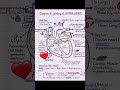 human heart diagram #shortvideo