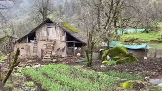 Astara.sım. 08.04.2024