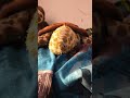 my turtle friend 🧡 #trending #usethissound #funnyshorts #cringe