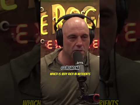 Joe Rogan calls out The Liver King “just STFU” #shorts