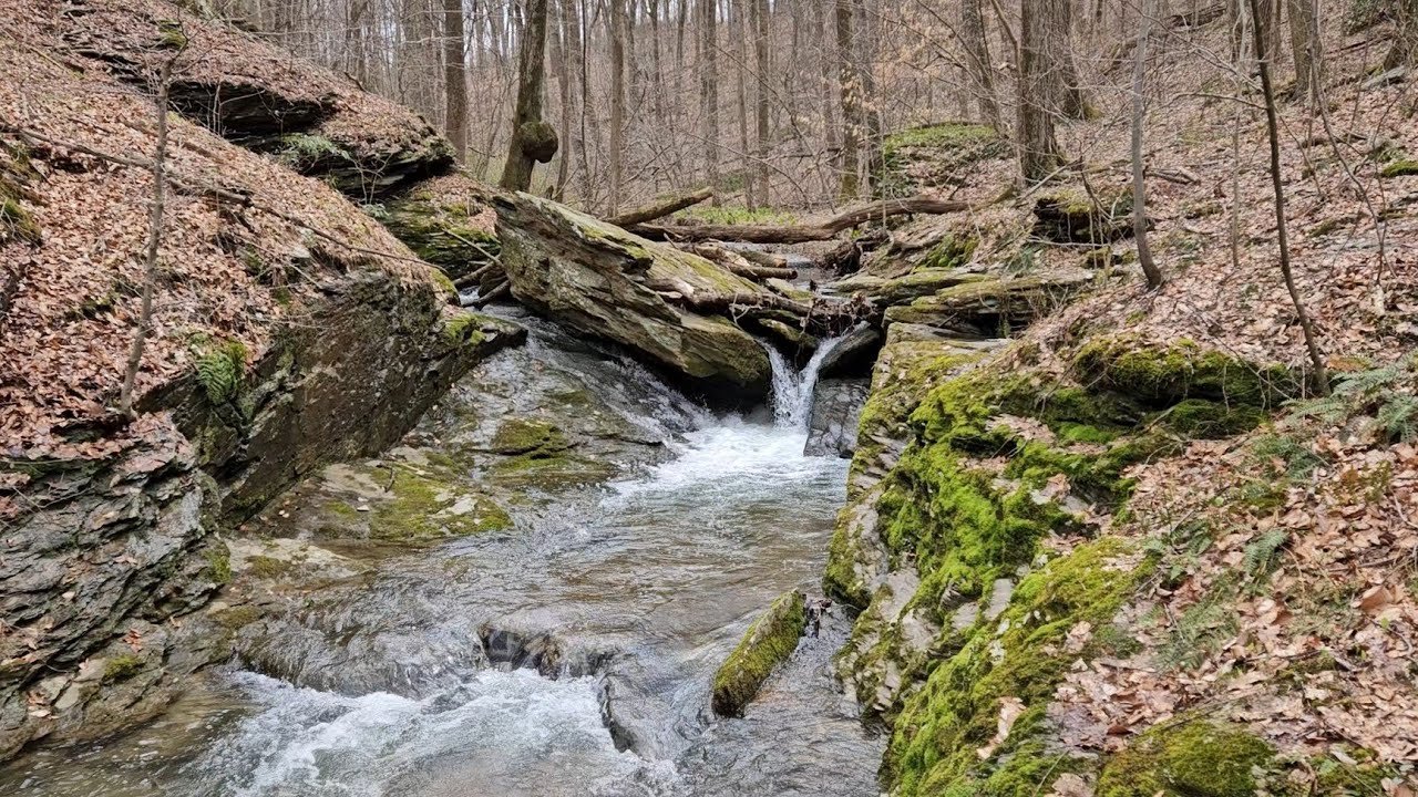 A Perfectly Picturesque Excursion at Trout Run Preserve YouTube