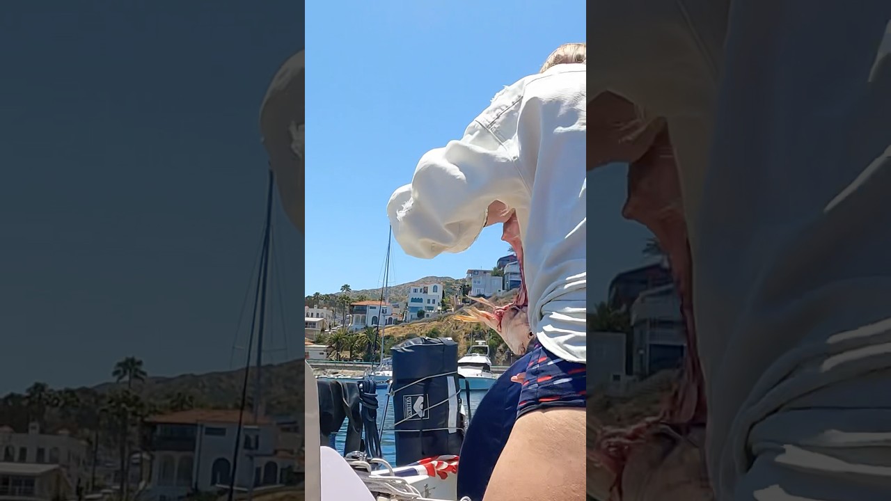 Do you thank your fish dinner? #ourladydefiant #fishing #yachtracing
