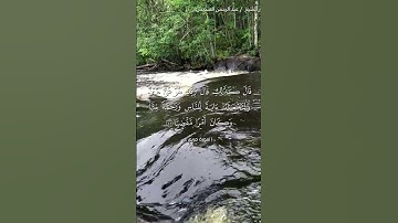 سورة مريم للشيخ: عبد الرحمن السديس