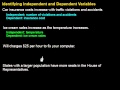 Mastering Variable Relationships in Real-Life Scenarios