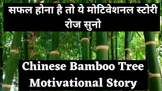 Chinese Bamboo Tree Motivational Story | Never Give  Up Story | Life Changing Motivation in Hindi