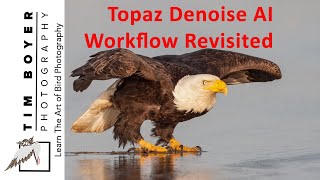 Topaz Denoise AI Workflow Revisited