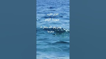 #القرآن #الكريم #المصحف #اكسبلور  #تلاوات_رائعة#