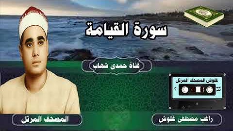 من روائع المصحف المرتل للشيخ راغب غلوش سورة القيامة