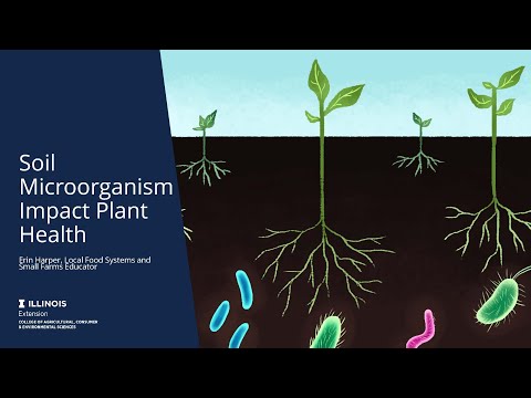 Video: Hvad Er Mikrobiologisk Plantebeskyttelse