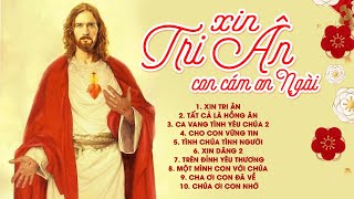 Nhạc Thánh Ca Hay Nhất - Xin Tri Ân Con Cám Ơn Ngài - Thánh Ca Nghe Thổn Thức Triệu Trái Tim