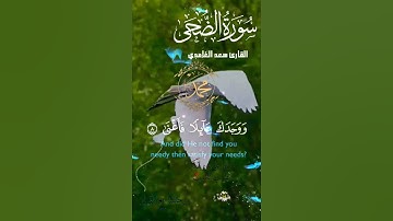 تلاوة خاشعة عطرة مباركة جميلة عذبة للشيخ سعد الغامدي سورة الضحى