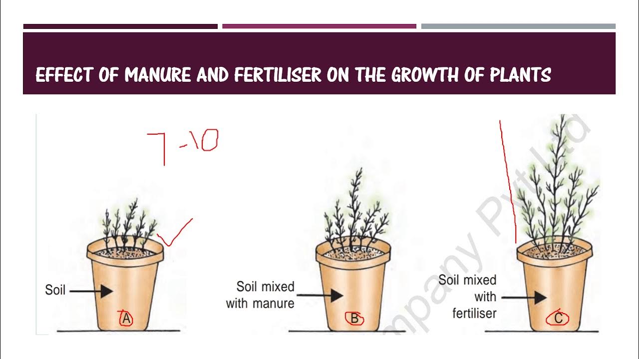 Crop production and management, Class8th Science topic, Part 3 YouTube