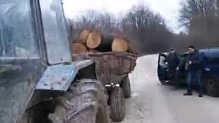 Tractor plin cu lemne in Rezervatia Stiintifica Plaiul Fagului.