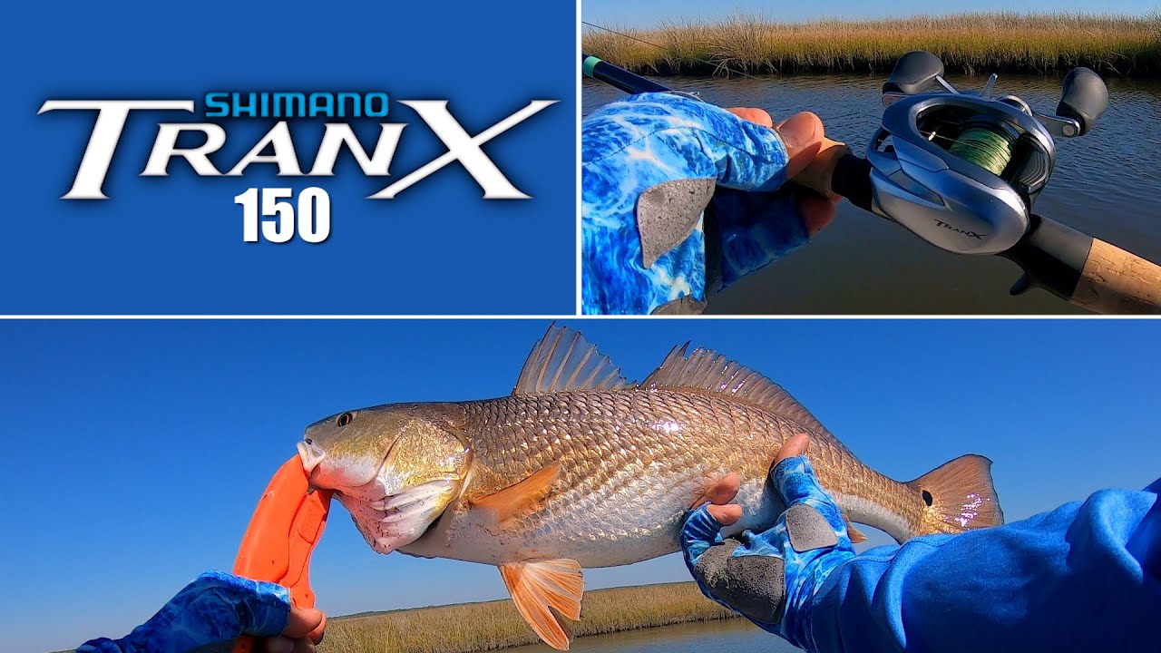 Shimano Tranx 150 vs Redfish 