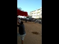 Colhida na Vacada em Palmela 3-9-2016