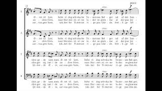 Carl Nielsen - Serenade, CNW 349