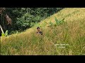 Full video compilation Part 2 Robert builds farm, harvests rice. Survival Instinct, Wilderness Alone