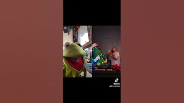 Kermit Dancing to Fruit Salad Techno Remix