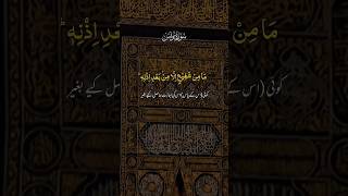 Surah Yaseen Beautiful Recitation 💕 🤗 #shorts #islmaic #unfrezzmyaccount
