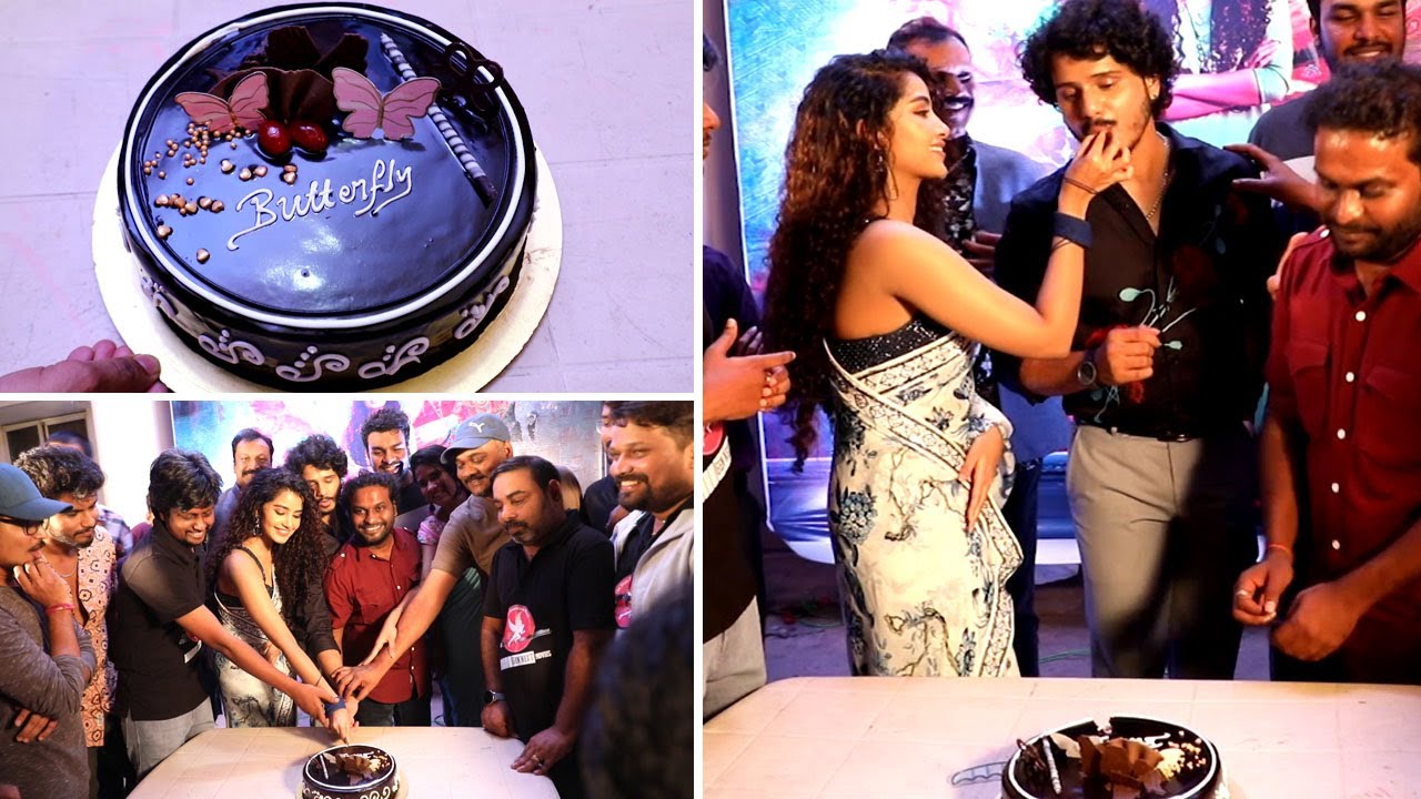 Butterfly Movie Success Celebrations || Anupama, Nihal Kodhaty, Bhumika || Ghanta Satish Babu