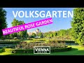 Walking In Vienna’s Beautiful City Park Volksgarten, City Park Ambience, 4K