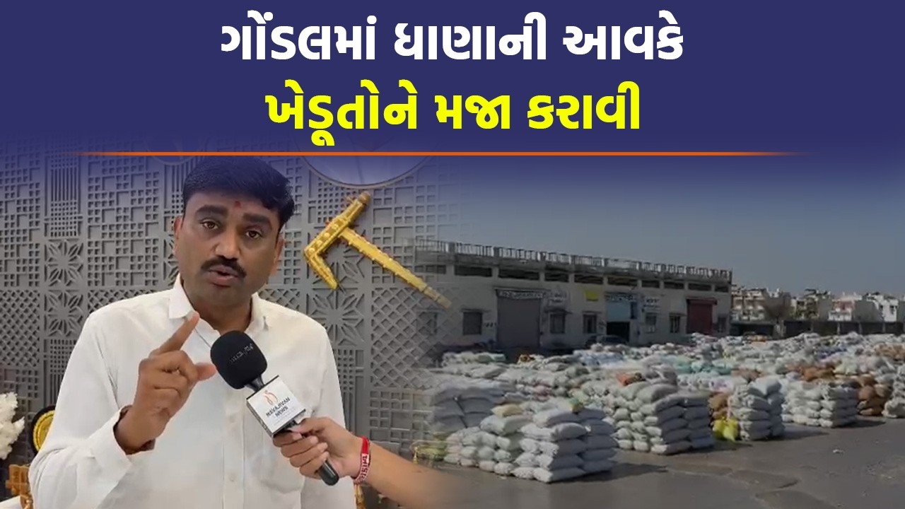 Gondal માર્કેટિંગ યાર્ડમાં મસાલા કંપનીઓએ ખરીદીમાં આપ્યા ધરખમ ભાવ? | APMC