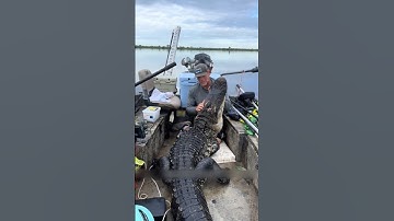 Cá Sấu Tấnn Công Dân Câu Cá Và Cái Kết #thếgiớiđộngvật