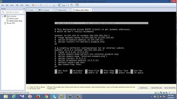 setting dhcp Debian 6 di VMware