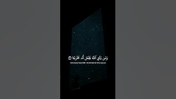 القرآن الكريم quran #تلاوات_خاشعة #راحة_نفسية #قران_كريم #quran #islam #ذكر #viral #foryou