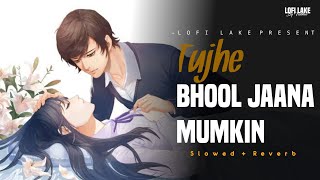 Tujhe Bhool Jaana Mumkin - Lofi ( Slowed   Reverb ) | Himesh Reshammiya | LOFI LAKE