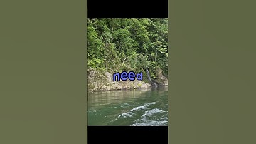 Notion Lyrics #music #song #shortsviral #lyrics #notion #edit #lyricvideo #bad #editing #capcut