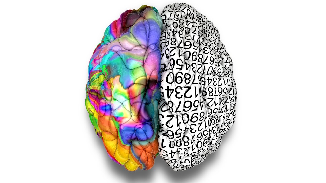 Brain 72. Полушария мозга. Левое полушарие. Левое и правое полушарие. Правое полушарие мозга.