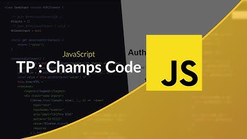 Exercice JavaScript : Champs de type Code (Extrait de la vidéo premium)