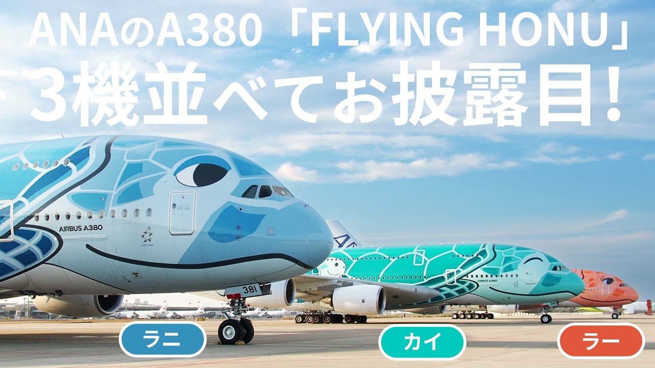 ANAの2階建大型機A380「FLYING HONU」全3機まとめてお披露目！