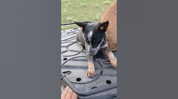 2025 Polaris Sportsman 570 review #farm #Polaris #570