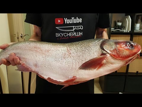 Video: Lavashová Roláda S červenou Rybou: Podrobné Recepty Na Fotografie Pre ľahkú Prípravu