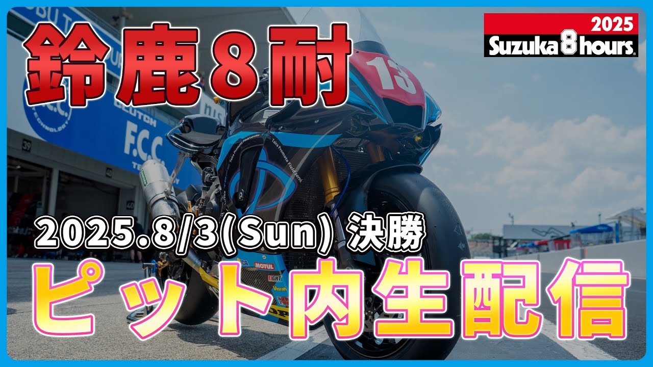 鹿の角 24時間以内発送 鹿の角 24時間以内発送 鹿の角