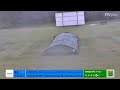 Cornwood CC 1st XI vs Sandford CC 1st XI