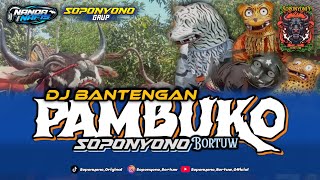 DJ PAMBUKO NEW ‼️ SOPONYONO BORTUW 