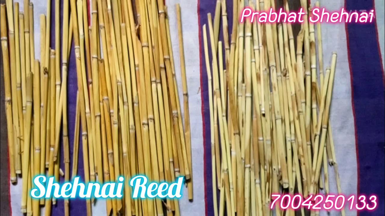 Shehnai Reeds Making YouTube