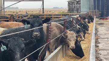 full_scoop_business_innovation_award_2025_v2_v1 (1080p)