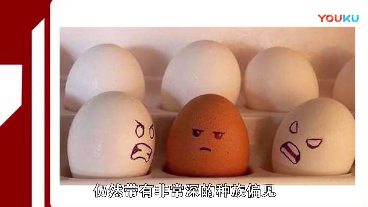 Расизм яйца