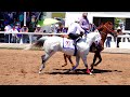 Carreras de caballos/CANTINFLAS VS EL PUMA